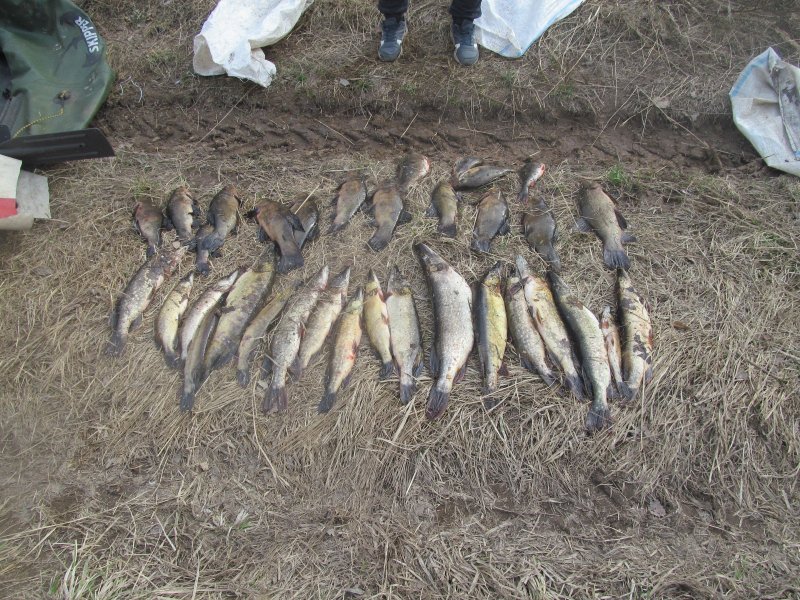 Житель Духовщинского района привлекается к уголовной ответственности за незаконную добычу рыбы